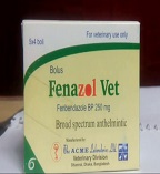 product name
